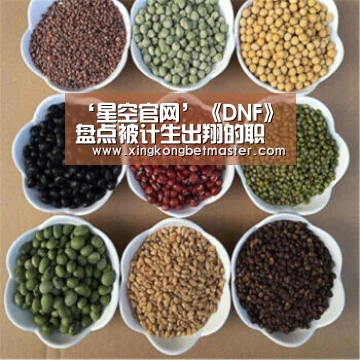 ‘星空官网’《DNF》盘点被计生出翔的职业